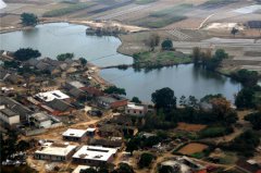 土壤水分對葉片特性有什么影響?