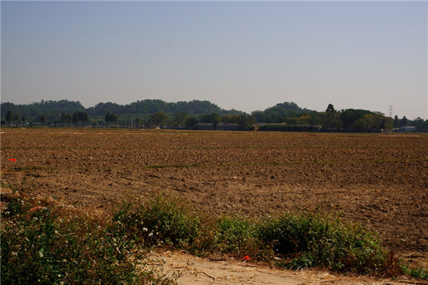 土壤水含量的變化對植物有哪些影響？