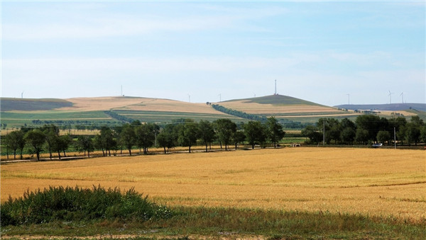 土壤墑情監測站的分類和特點分析 土壤墑情監測站的分類和特點分析