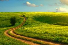 土壤墑情監測系統斷電了怎么辦