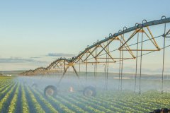 菜園實時監(jiān)測依靠土壤墑情檢測儀