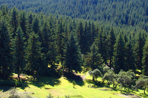 土壤墑情檢測(cè)儀 土壤墑情檢測(cè)儀