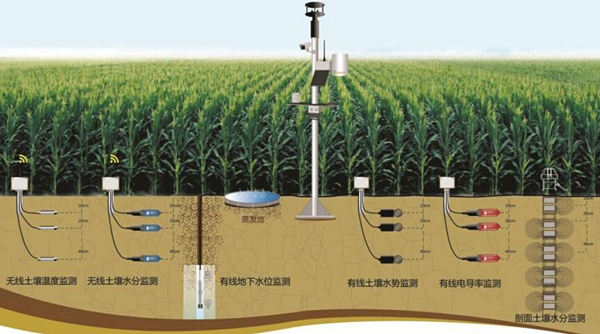 1573175962533592.jpg timg_副本.jpg