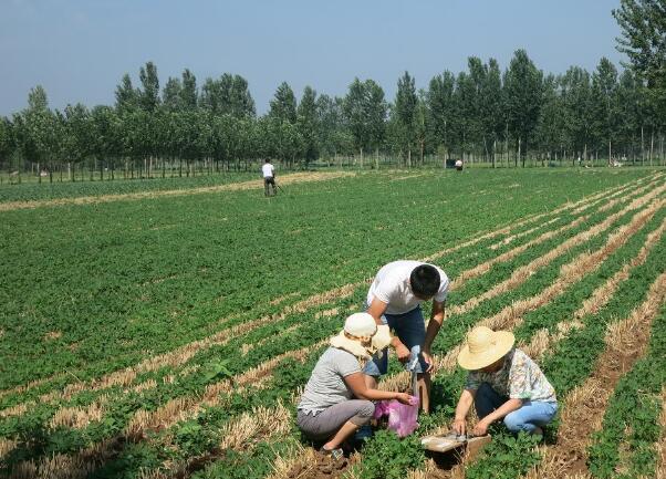 1577954391624773.jpg QQ截圖20200102163924.jpg