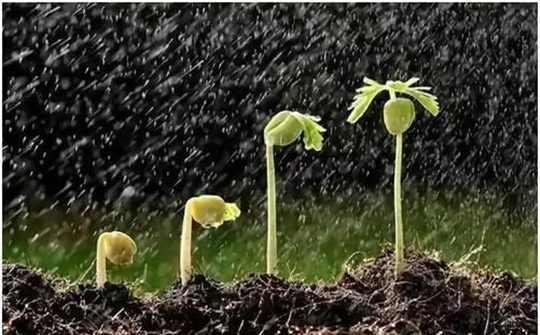 土壤墑情監(jiān)測(cè)系統(tǒng) 土壤墑情監(jiān)測(cè)系統(tǒng)