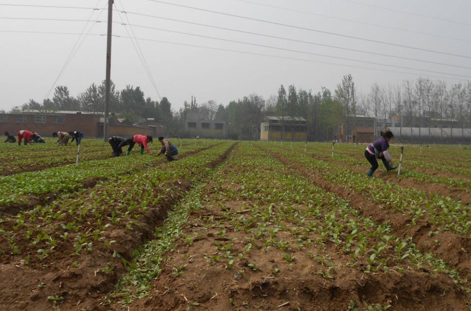 土壤含水量是如何計算的? 土壤含水量是如何計算的?