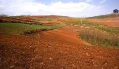 取樣方式不同對(duì)土壤墑情監(jiān)測(cè)精度有影響嗎?