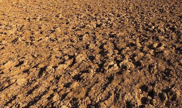 土壤墑情監(jiān)測烘干法介紹 土壤墑情監(jiān)測烘干法介紹