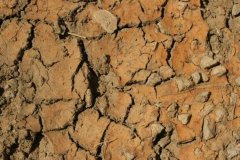 建設(shè)農(nóng)田土壤遠程墑情監(jiān)測系統(tǒng)有什么用?