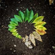 土壤水分類型科普